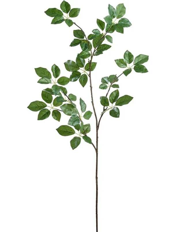Scheffler Leaf Spray 50in.-Green