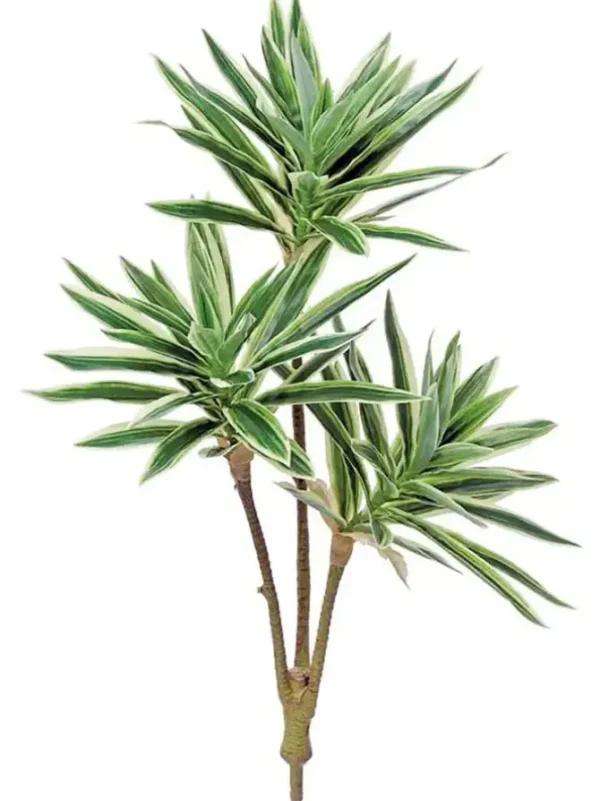 Song of Jamaica 23.5 in. Green/white
