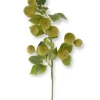 Speckled Pear Stem 31 in. Green