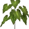 Taro Plant 25 in. Green