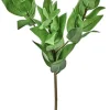 Triple Israeli Ruscus Spray 20 in.