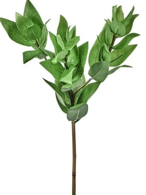 Triple Israeli Ruscus Spray 20 in.