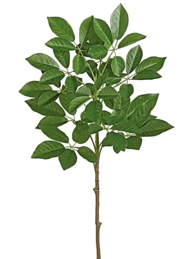 trumpet_tree_spray__in_0.webp Trumpet Tree Spray 34 in.