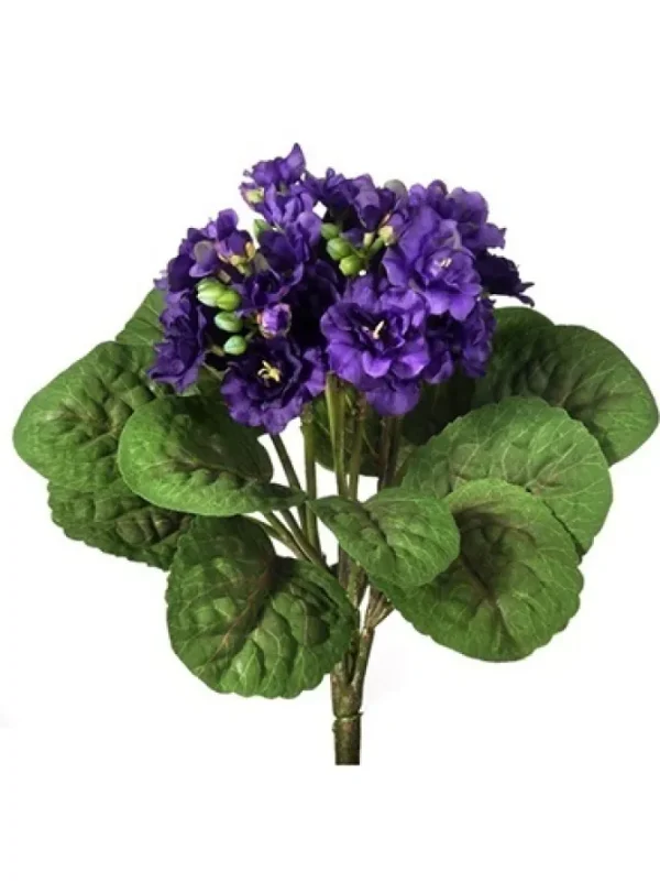 Violet Plant 12 in. Violet