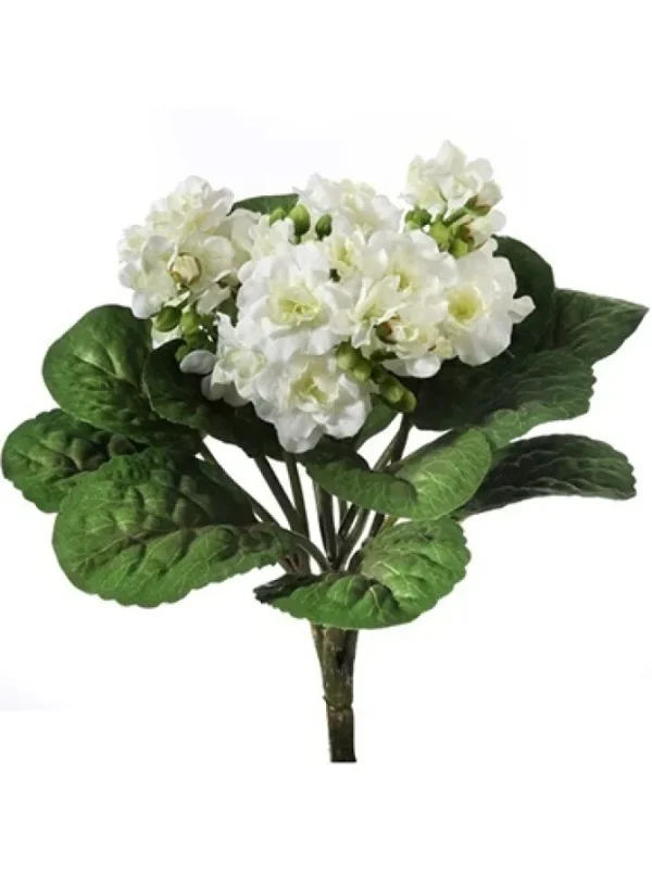 Violet Plant 12 in. White