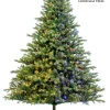 Virginia Fir LED 7.5 FT - Color Switch