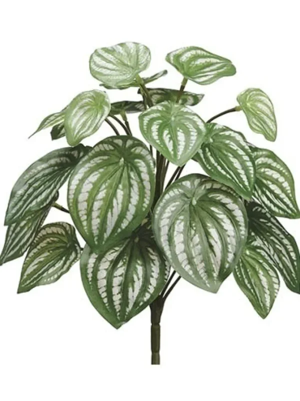 Watermelon Bush 12 in. Green / Silver