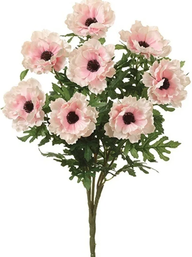 wave_anemone_bush__in_pin_0.webp Wave Anemone Bush 20 in. Pink / Cream