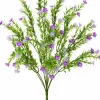 Waxflower Bush 20 in. Lavender