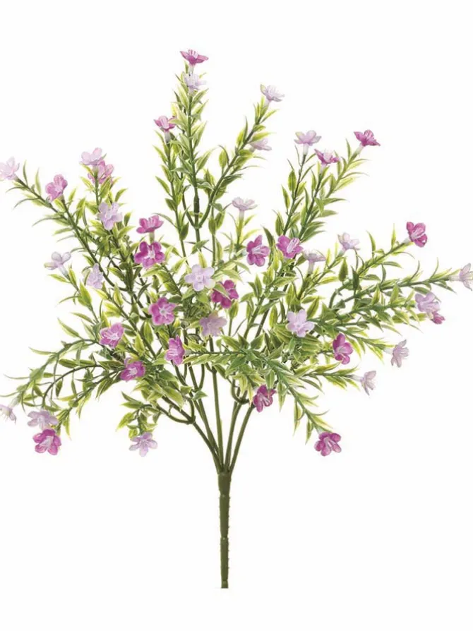 waxflower_bush__in_lavend_0.webp Waxflower Bush 14 in. Lavender