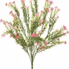 Waxflower Bush 20 in. Pink