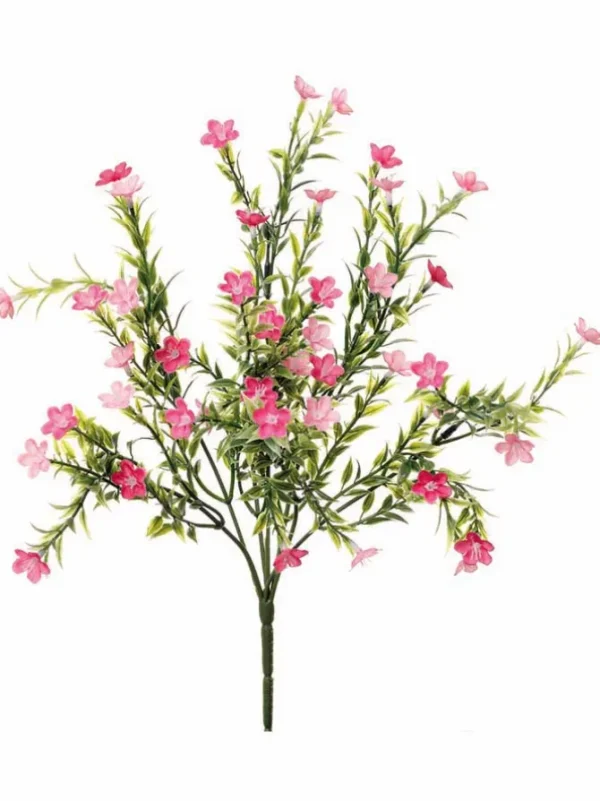 Waxflower Bush 14 in. Pink
