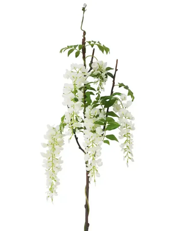 Wisteria 55.5 in. White