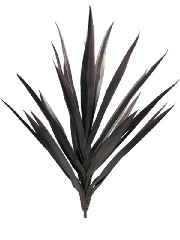 Yucca 27 in. Burgundy
