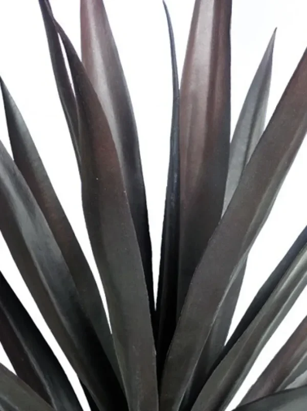 Yucca 27 in. Burgundy