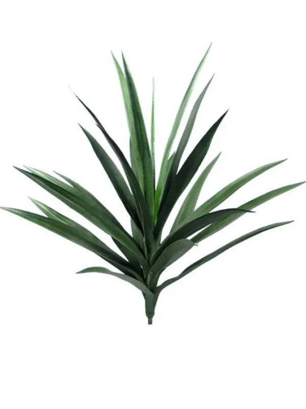 Yucca 27 in. Green