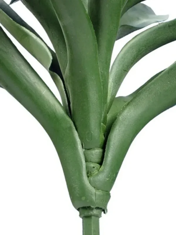 Yucca 27 in. Green