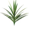 Yucca 27 in. Variegated Green