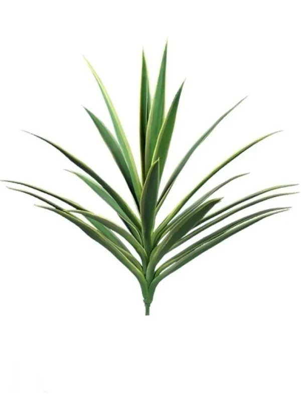 Yucca 27 in. Variegated Green