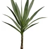 Yucca Plant 33 in. Green