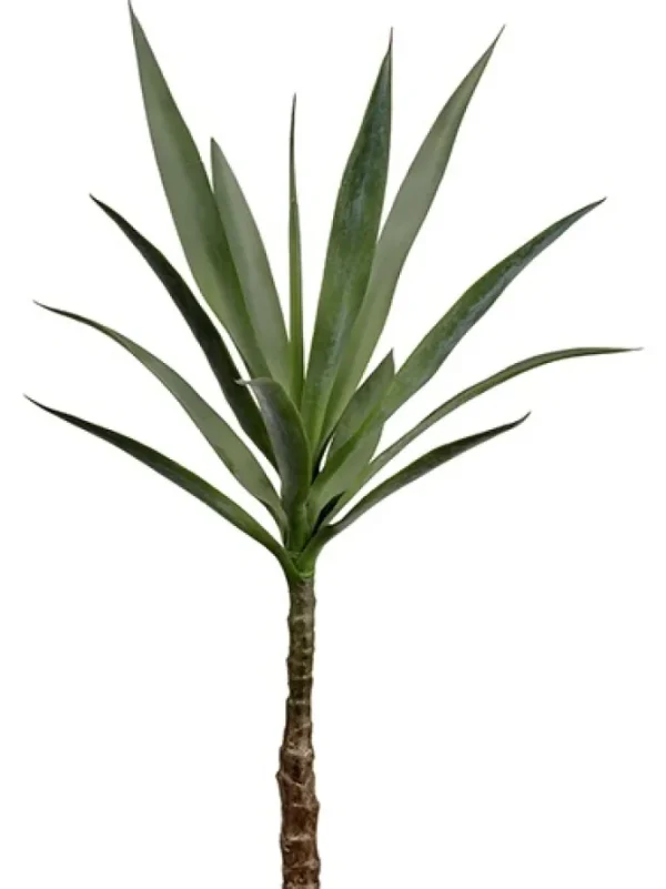 Yucca Plant 33 in. Green
