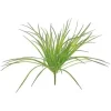 Zebra Grass Bush 21 in. Light Green