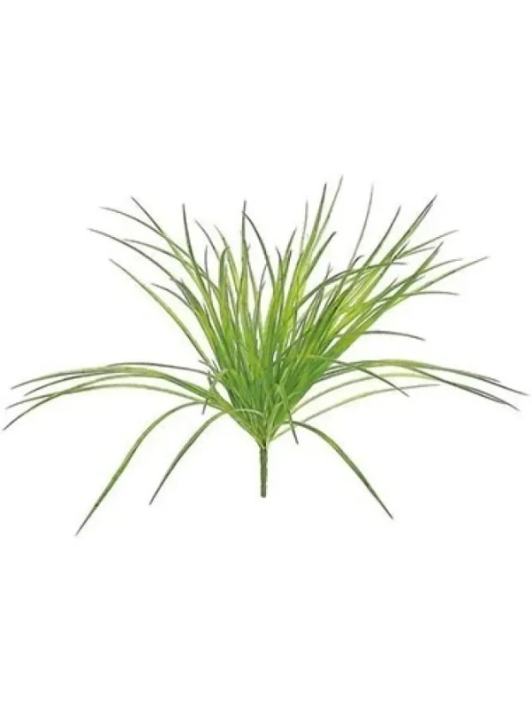Zebra Grass Bush 21 in. Light Green